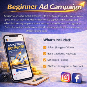 Beginner Ad Campaign